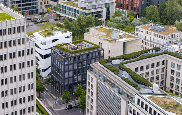 Klimaresiliente Stadtentwicklung