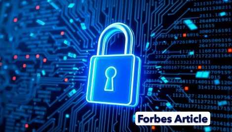 Start small, start now: The executive's guide to deploying hybrid post‑quantum encryption