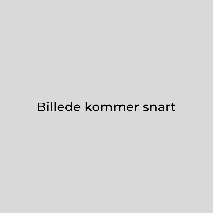 Jesper