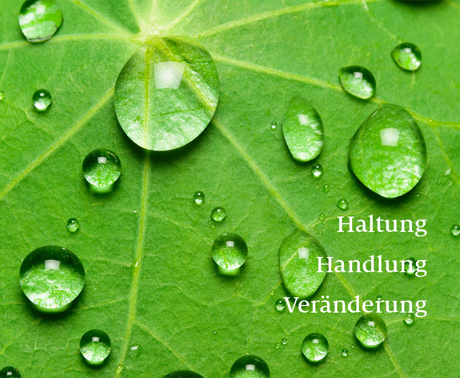 Sujetbild Palliative Care Basislehrgang