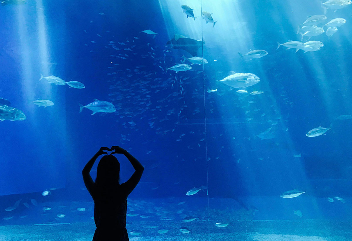 Aquarium