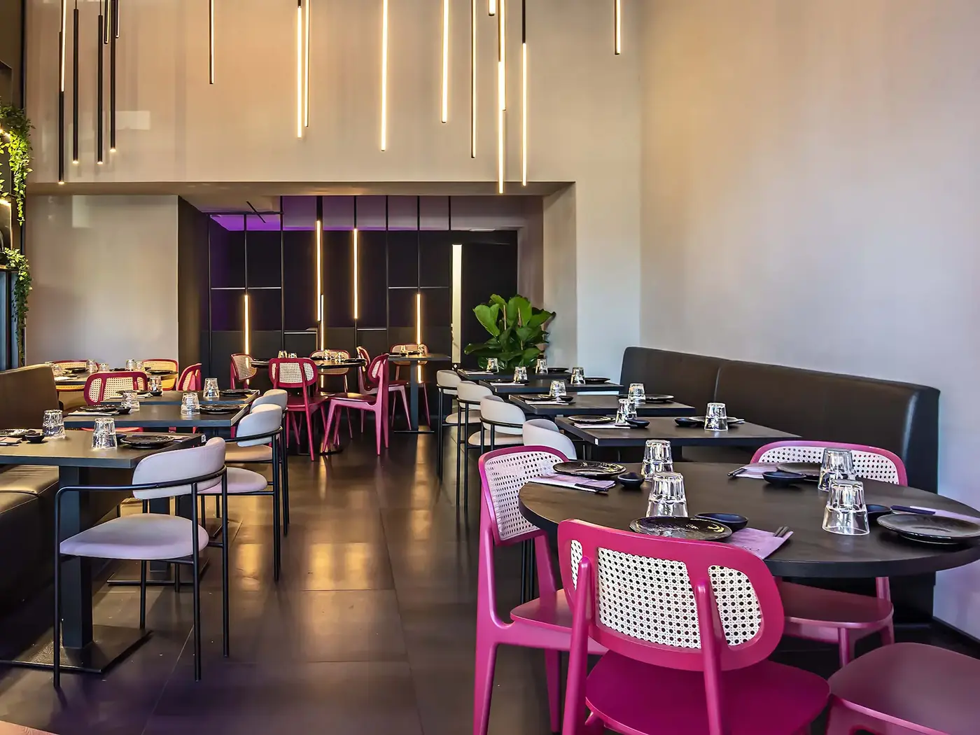 Clover Cane Back Chair installed in a hospitality interior