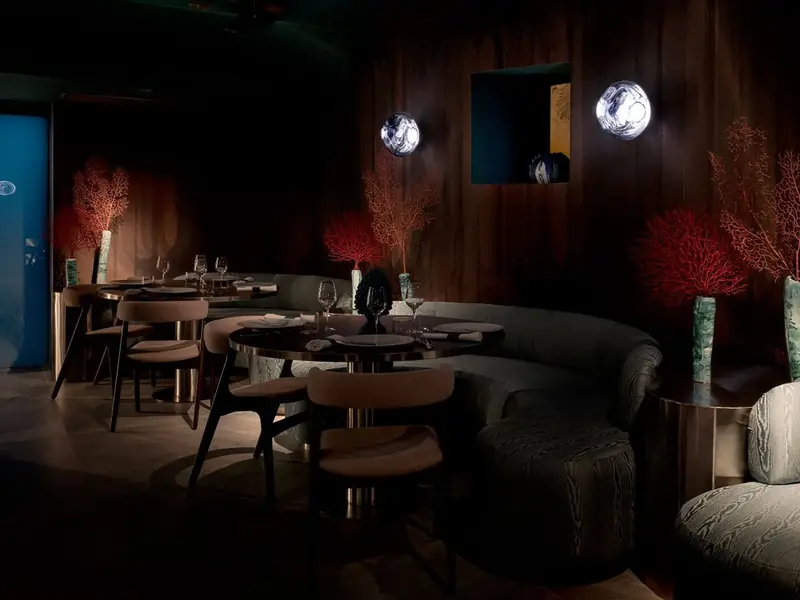 La Boca Chair installed in a hospitality interior