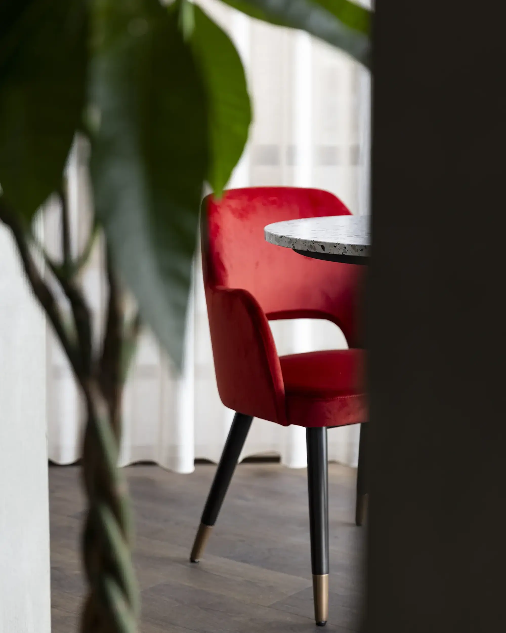 Adoro Hotel interior