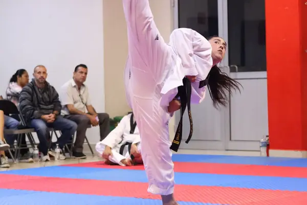 Tatami profesional en GAMA Cumbres