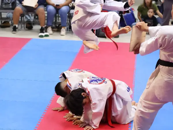Patada voladora en exhibición de Taekwondo Monterrey