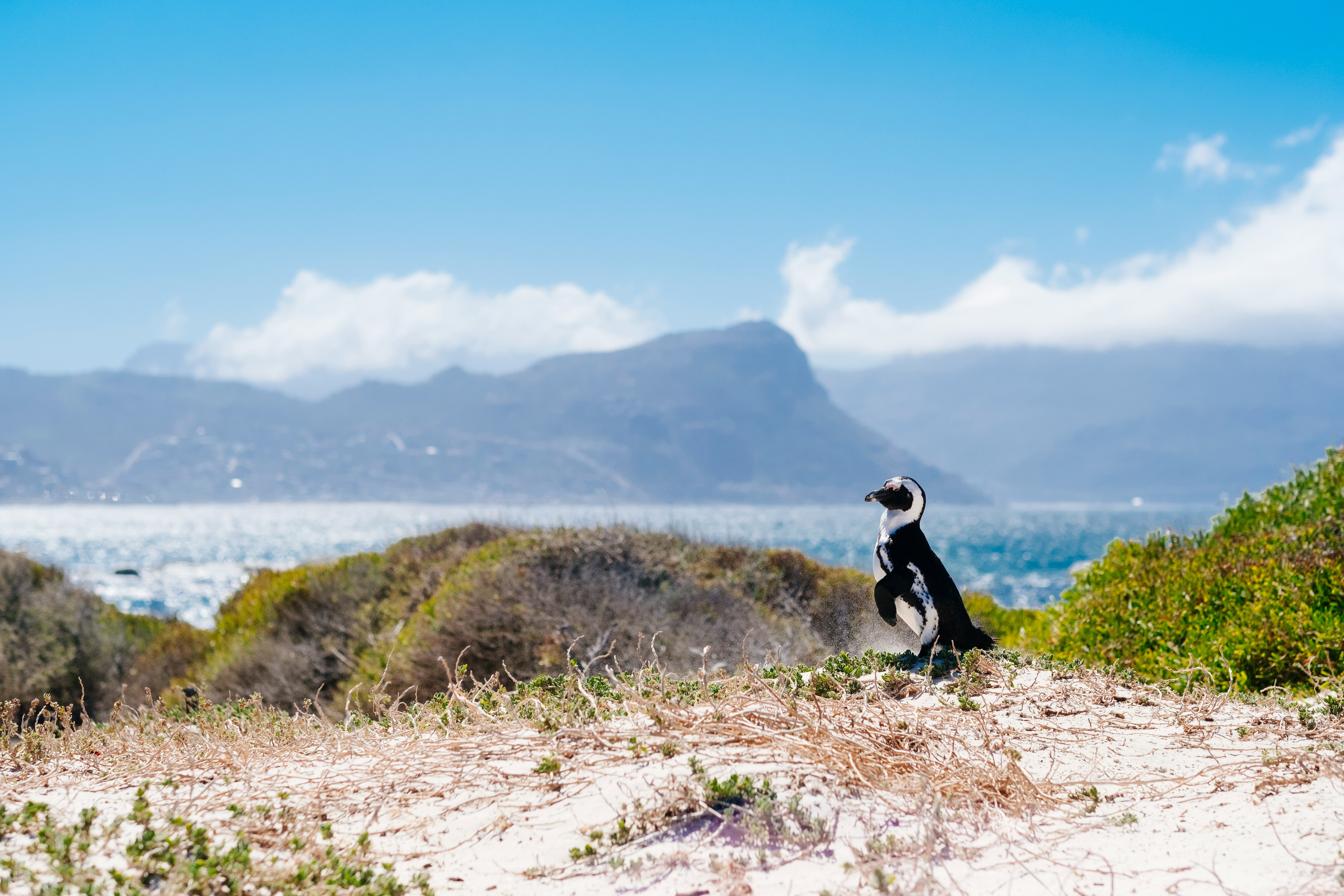 The Peninsula Tour