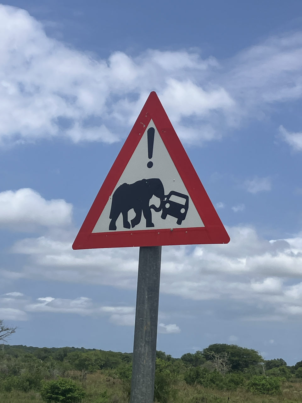  Wildlife Encounters on Two Wheels
