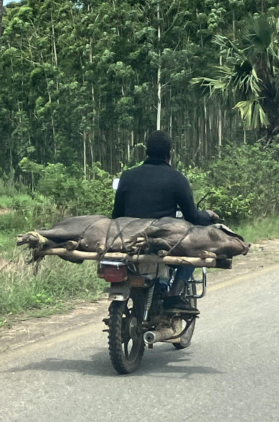 What to Pack for Your Adventure Motorcycle Tour