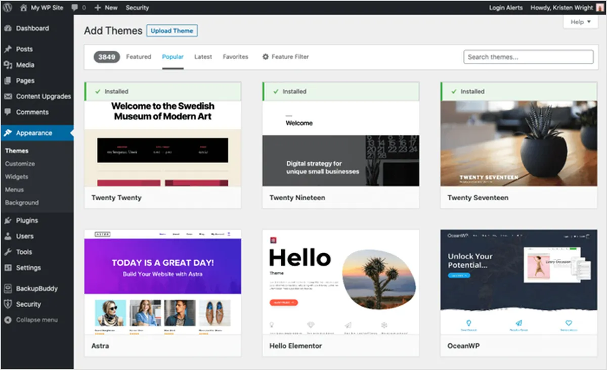 What is WordPress?