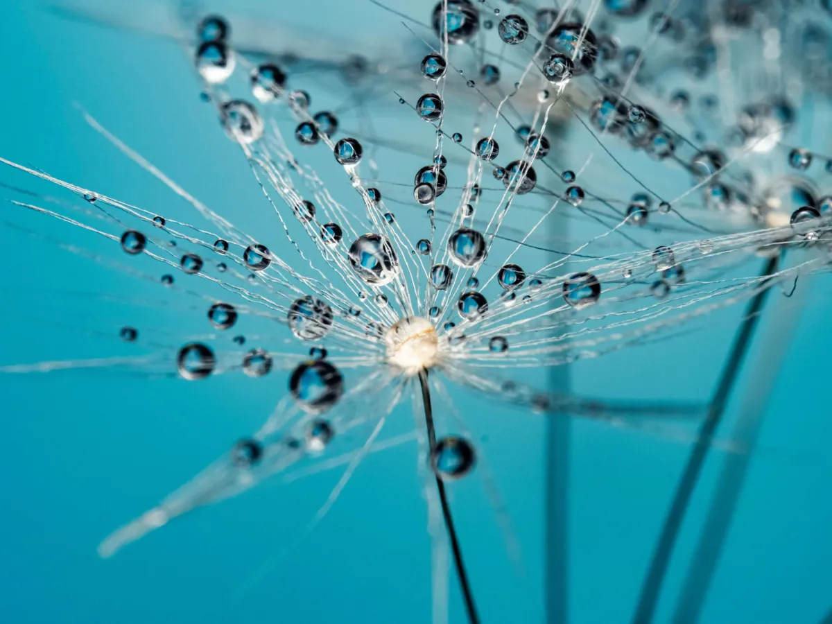 Why Open Source AI Will Win in Regulated Industries — featured image