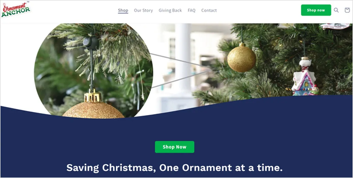 custom website