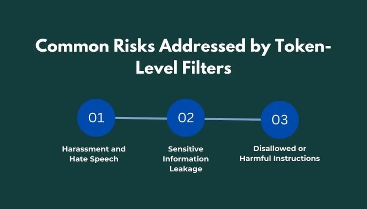Common Risks Addressed by Token-Level Filters