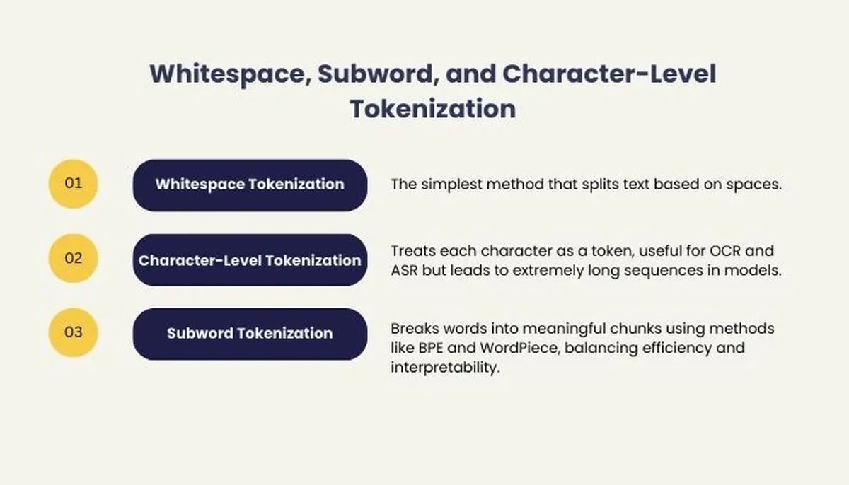 Whitespace, Subword, and Character-Level Tokenization