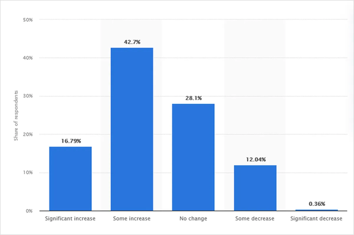 Remote work impact software developer productivity