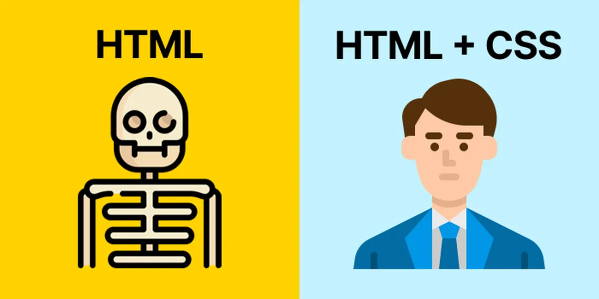HTML and CSS