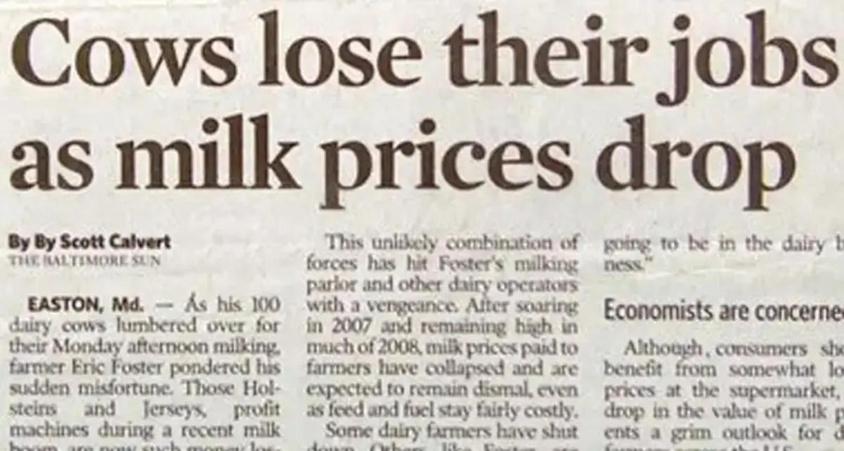 funny headlines
