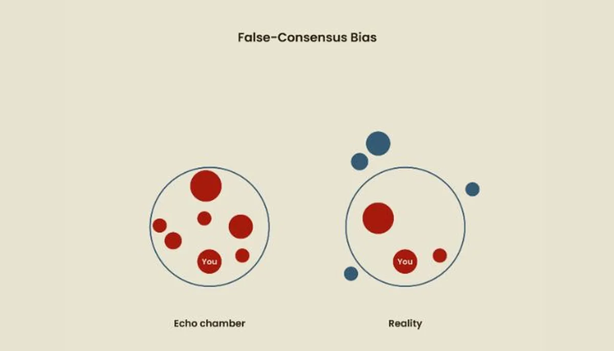 false consensus bias in UX design