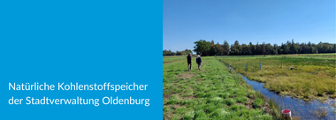 Zu sehen ist ein wiedervernässtes Moor. Foto: Stadt Oldenburg