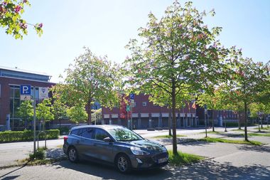 Zu sehen ist ein Carsharing-Parkplatz mit einem Carsharing-Auto. Foto: Stadt Oldenburg
