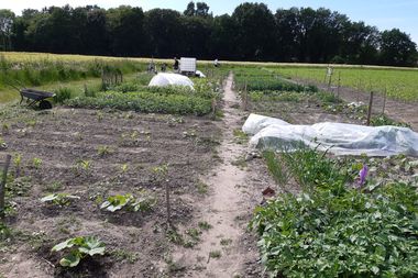 Blick auf die Ackerfläche von Ackermanntje