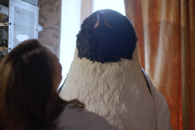 Zu sehen ist der Pinguin, der die Hauptrolle in den Pinguin-Spots der Stadt Oldenburg spielt. Foto: Tremoniamedia GmbH