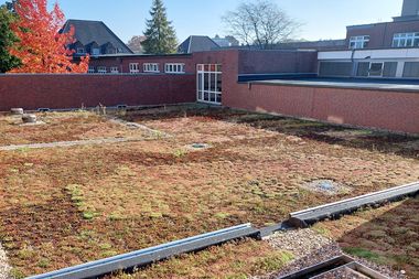 Blick auf ein begrüntes Flachdach. Foto: Stadt Oldenburg