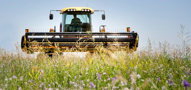 Eine Blumenwiese im Vordergunrd, ein Traktor mit Aufsatz zum mähen im Hintergrund.