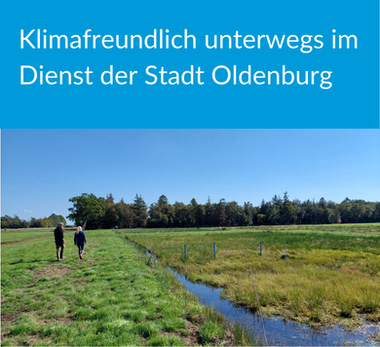 Zu sehen ist ein wiedervernässtes Moor. Foto: Stadt Oldenburg