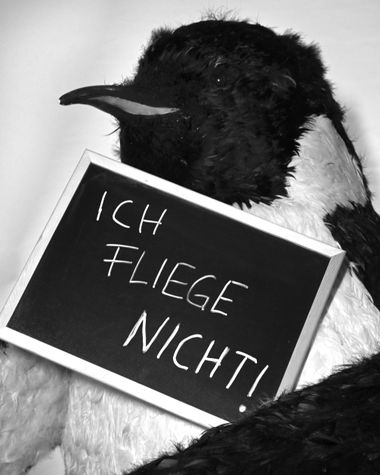 Ein Pinguin zeigt ein Schild auf dem steht „Ich fliege nicht!“ Foto: Jörg Hemmen