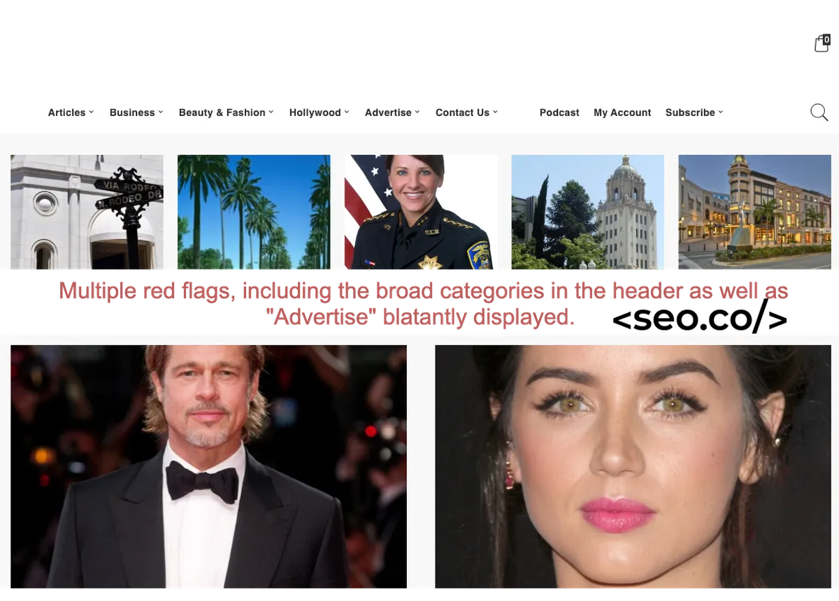 bad example of a guest blog site for white label link building