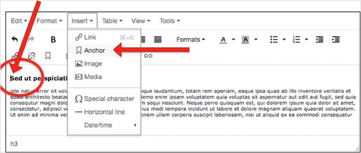 What is Link Insertion Exactly?