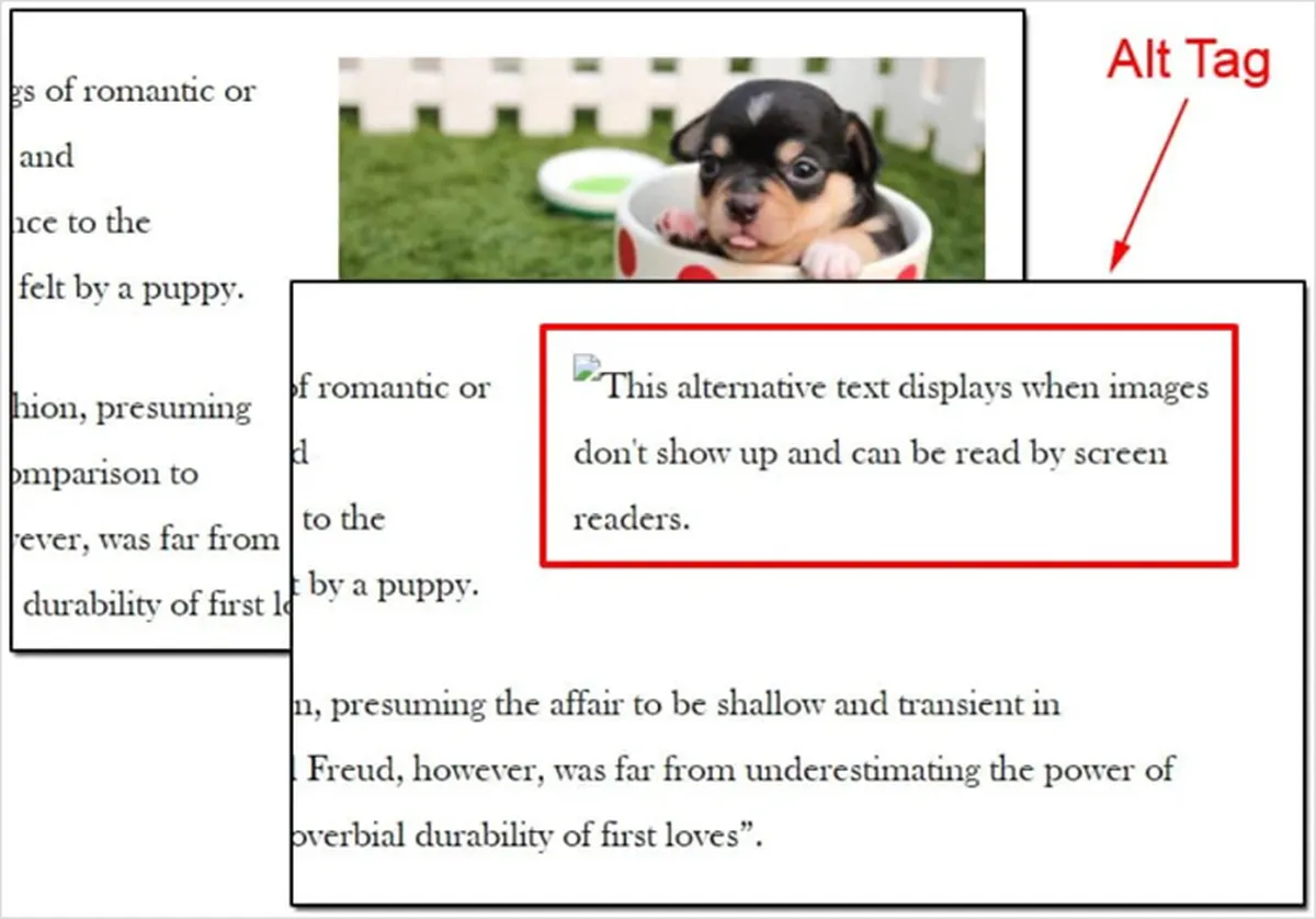 Over-optimization of image alt text