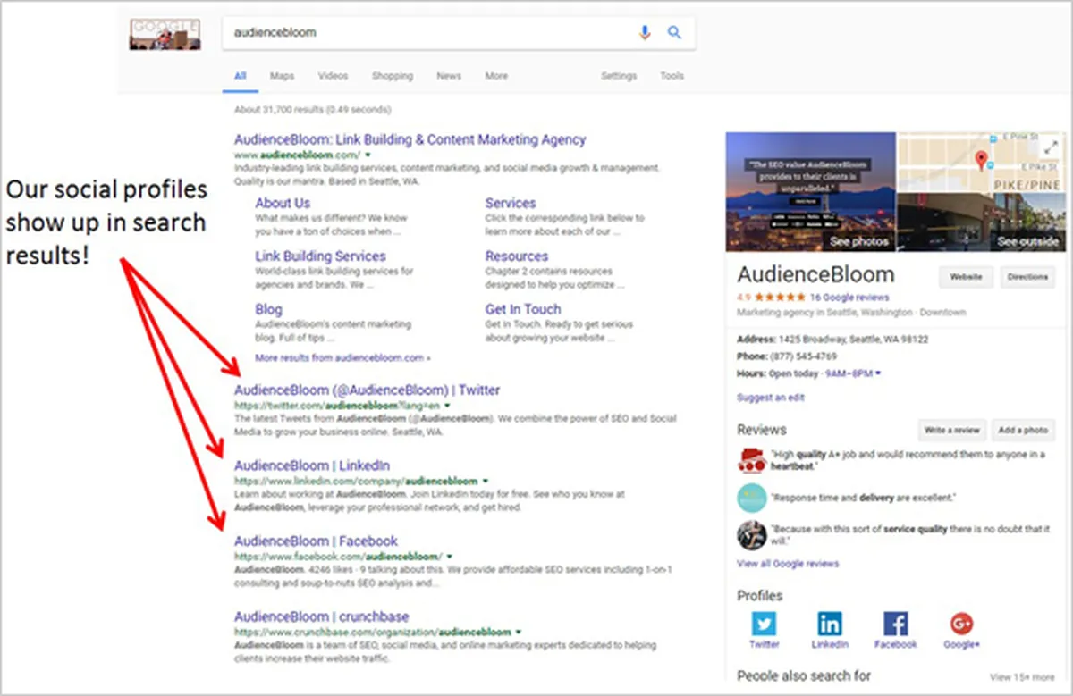 Optimize your SEO efforts, target audience and social media marketing strategy - social media impact SEO on search results