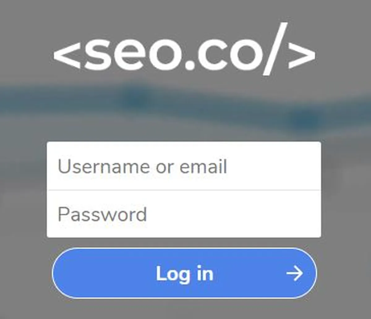 Link building service reporting