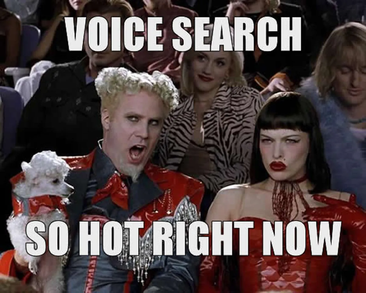 voice search