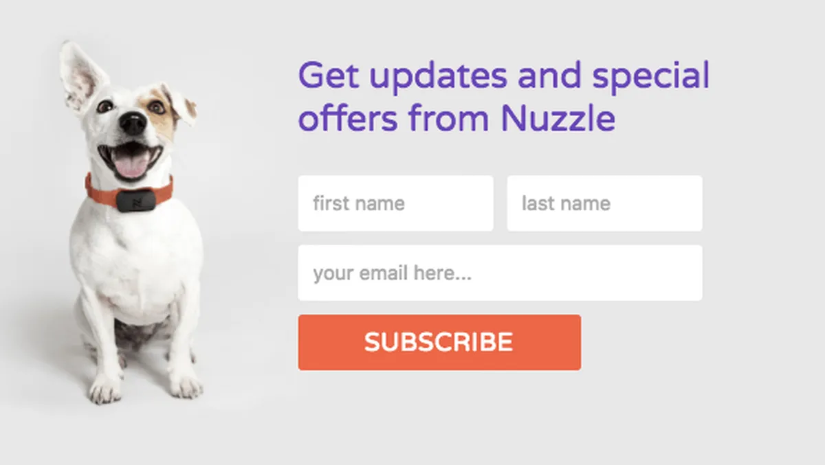 call to action subscription request 