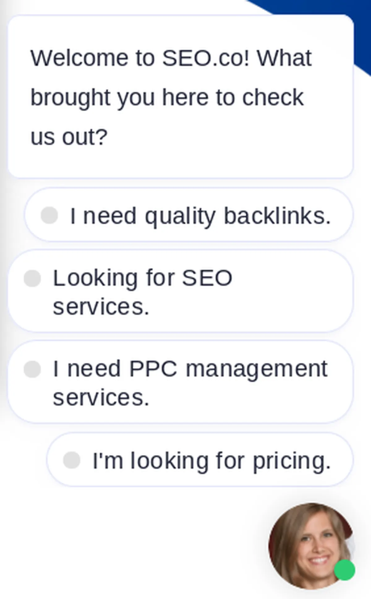 Live chat with SEO.co expert!