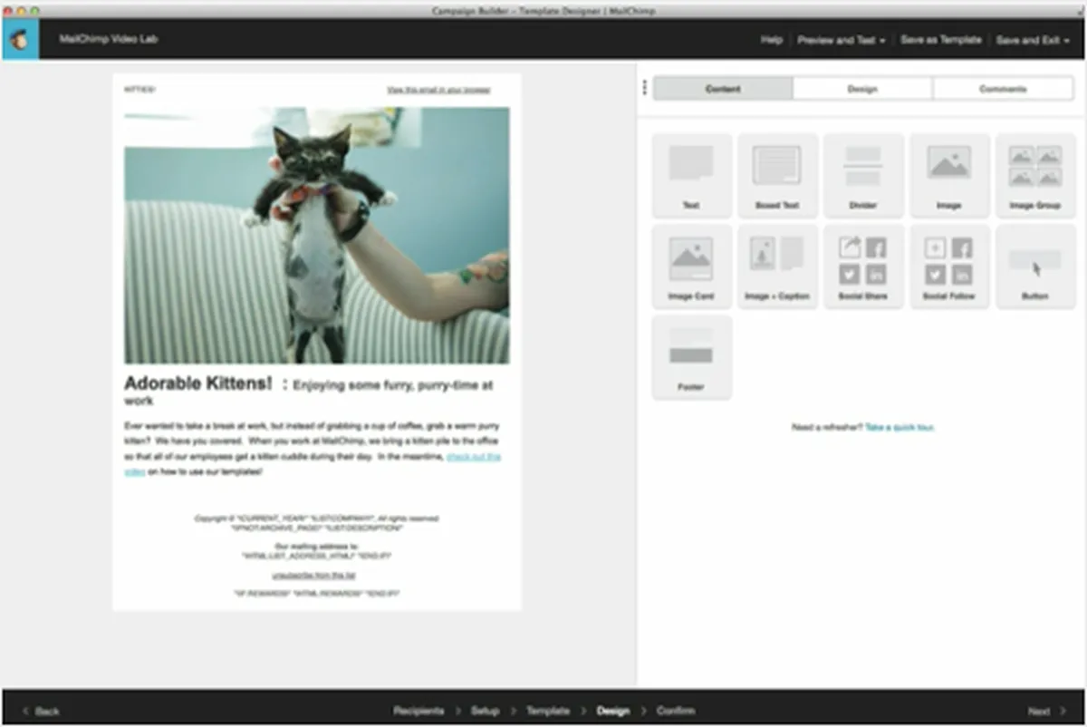 mailchimp template design