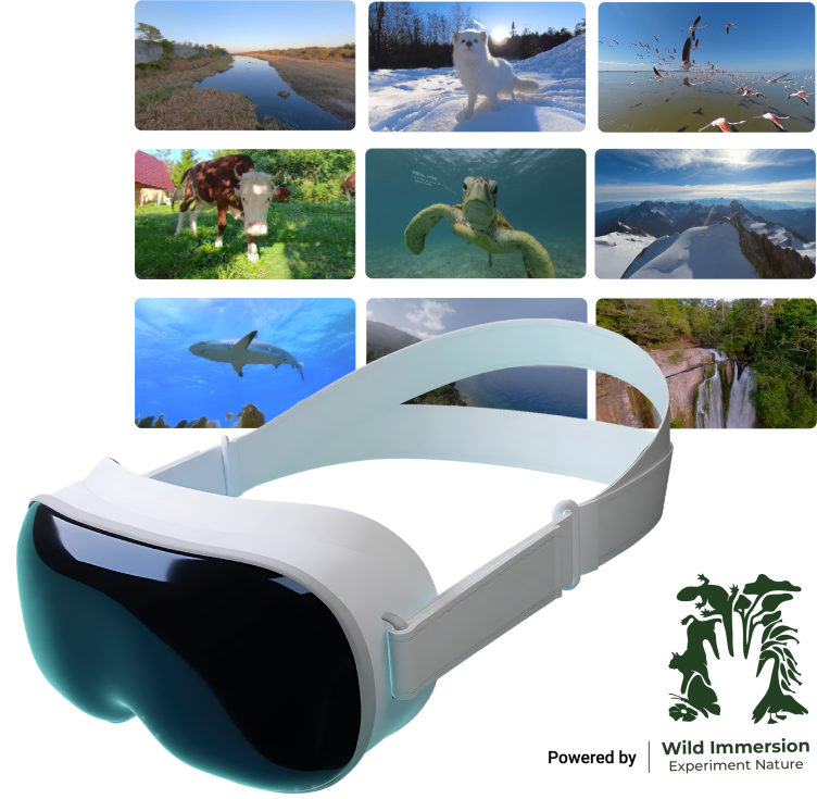 Visuel QVT catalogue uptale - multi experiences-V6