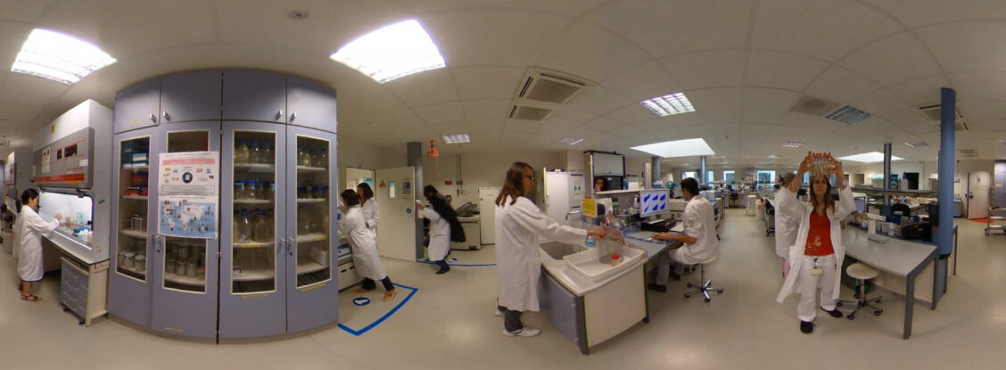 Danone – Lab safety best and worst practices