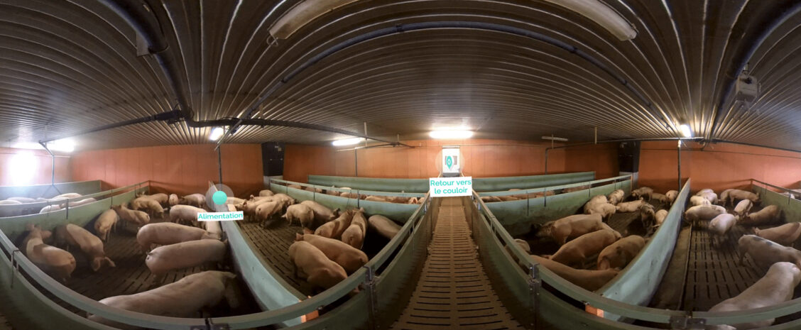 EnvA – Enable future veterinarians to visit a farm in Virtual Reality
