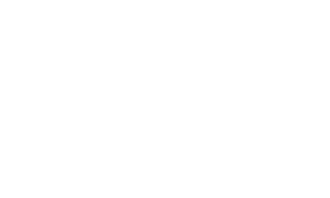 lesaffre logo blanc 1