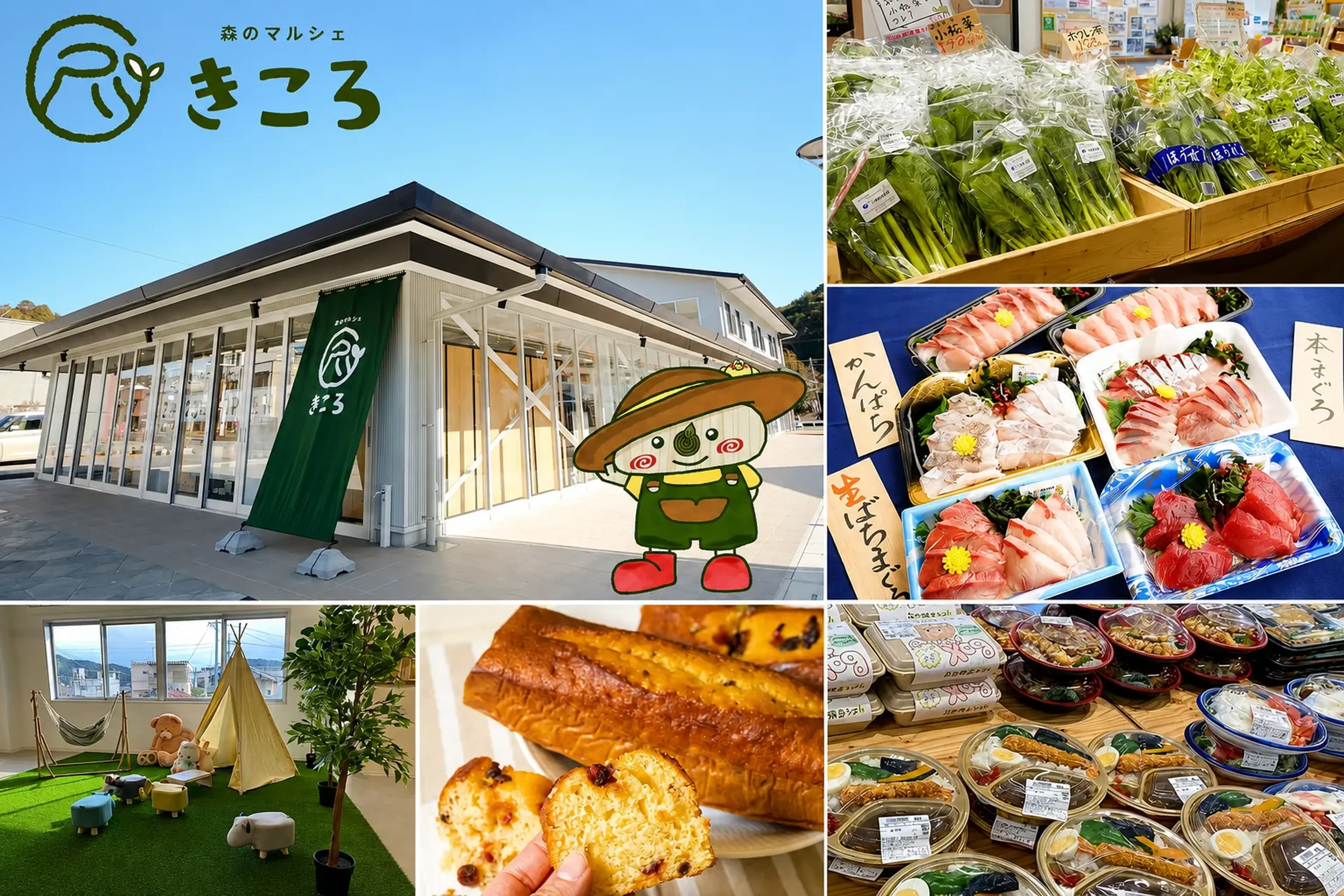外観と商品