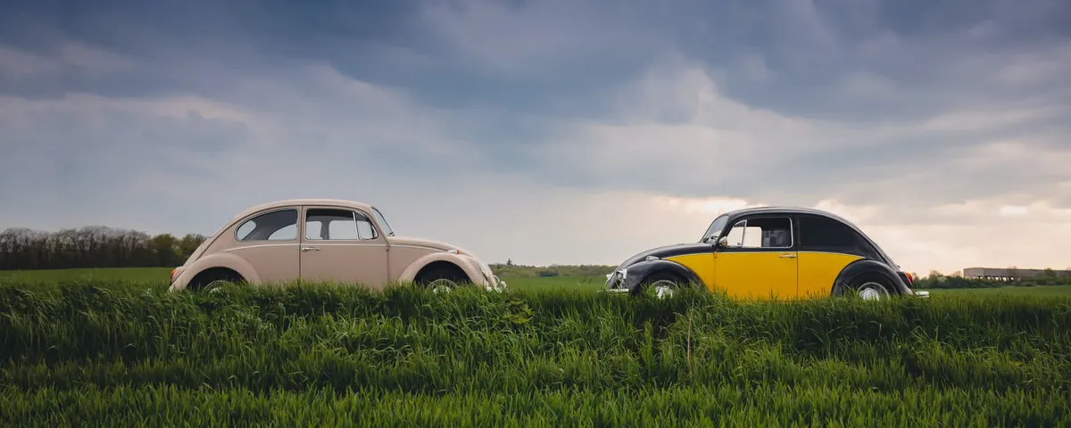 Två Volkswagen Beetle på grönt gräs