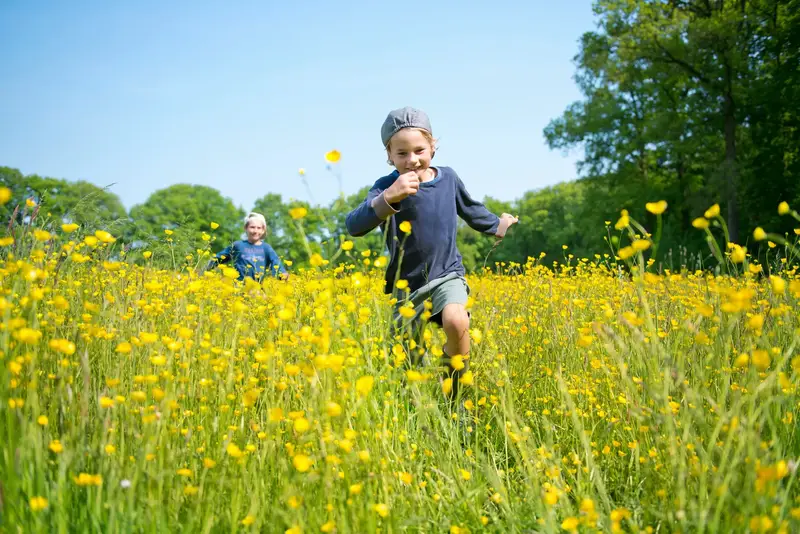 Barn springen på äng med gula blommor
