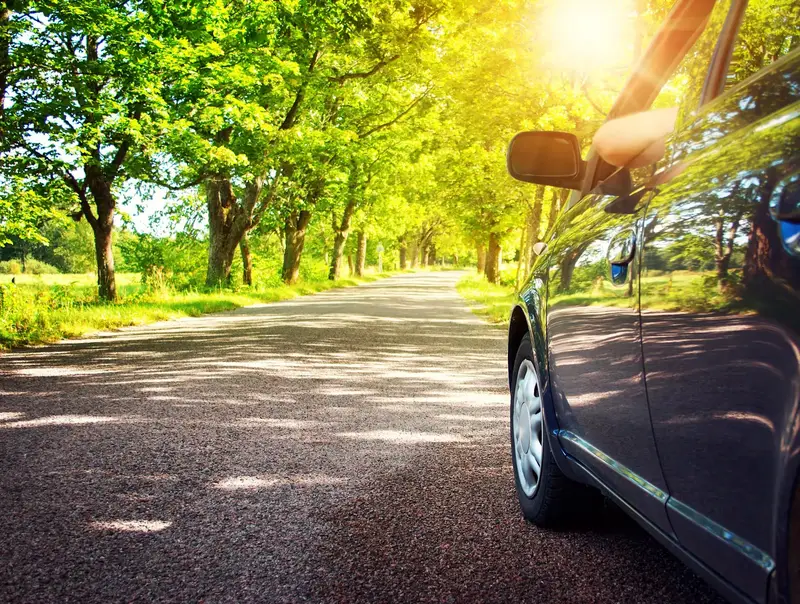 Car on sunny forest road