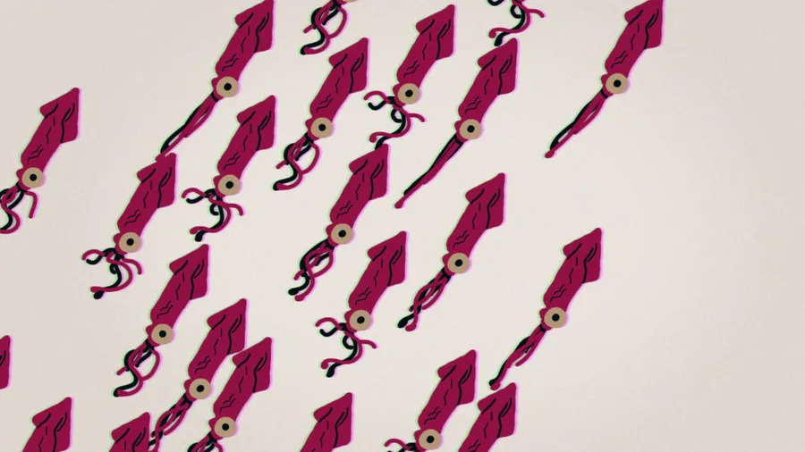 Squids - TedEd