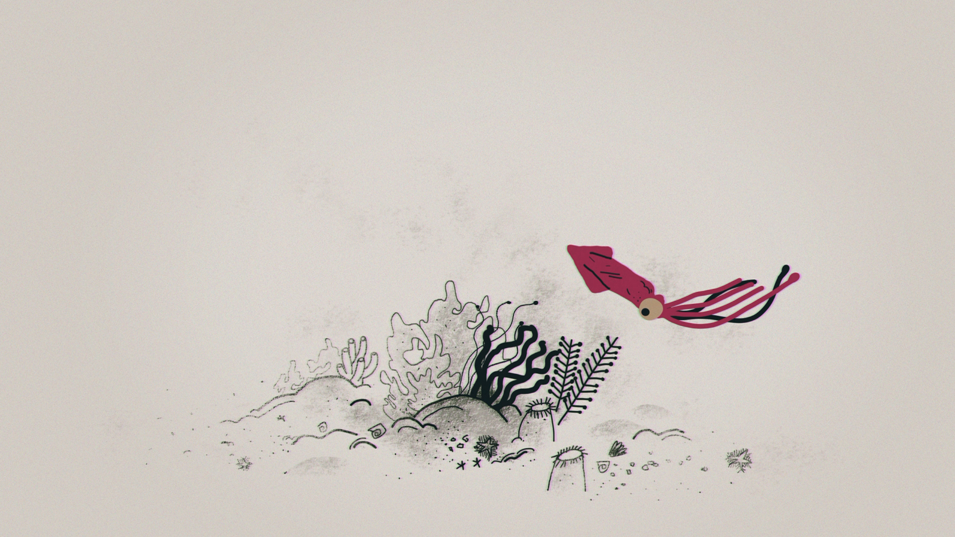 Squids - TedEd — image 5