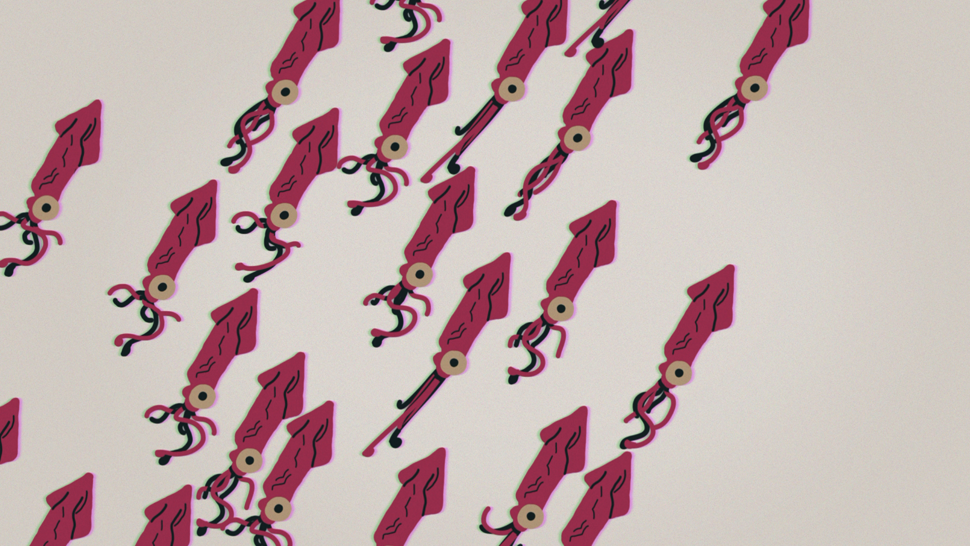Squids - TedEd — image 1